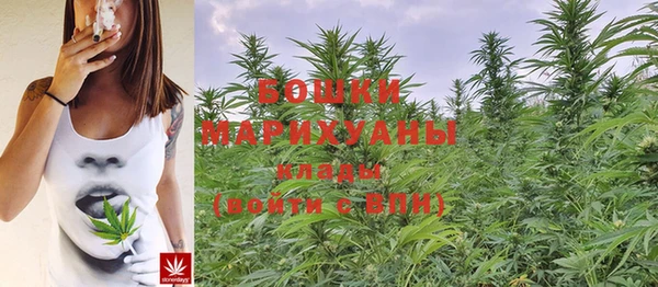 мдпв Лагань