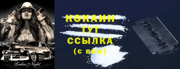 мдпв Лагань