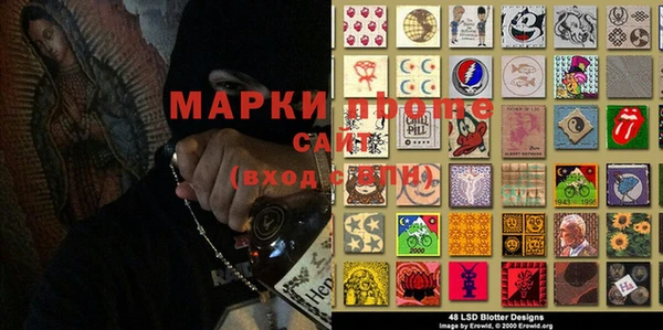 стаф Ладушкин