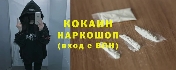 мдпв Лагань