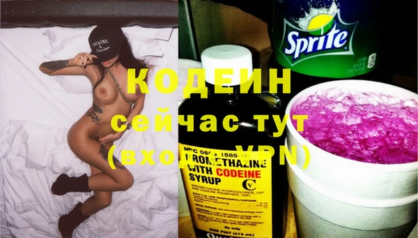стаф Ладушкин