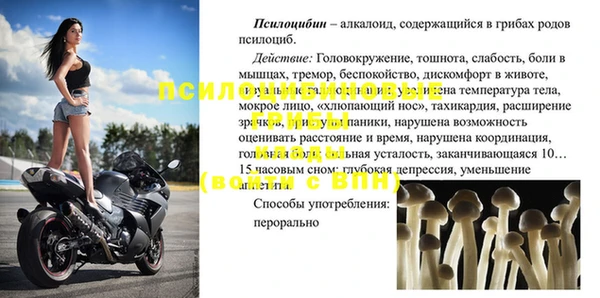 мдпв Лагань