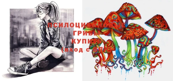 стаф Ладушкин