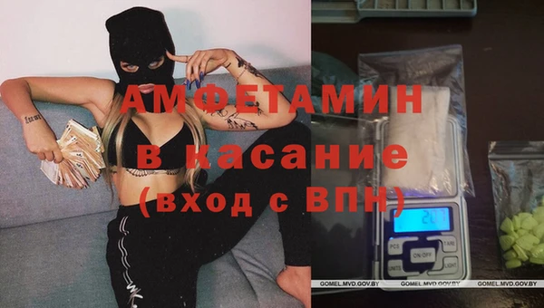 мдпв Лагань