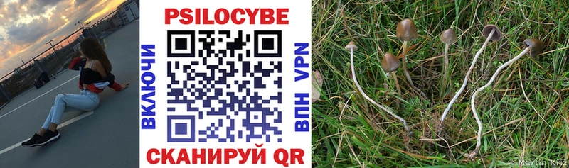 Псилоцибиновые грибы ЛСД  Жуковка 